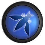 Logo OWASP